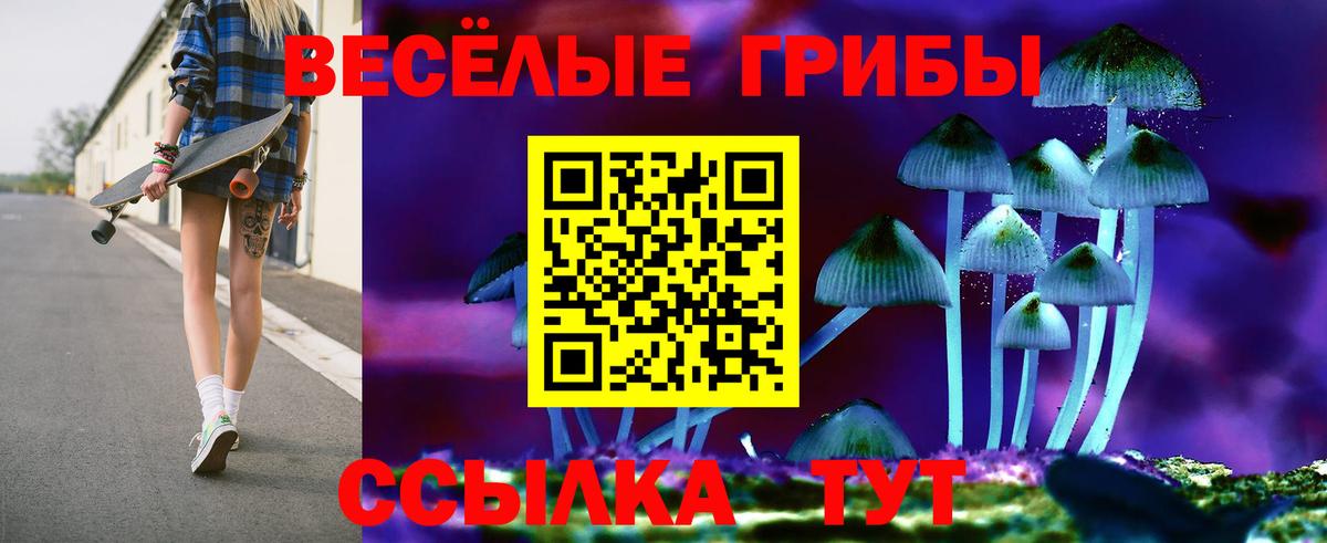 Галлюциногенные грибы Cubensis Топки